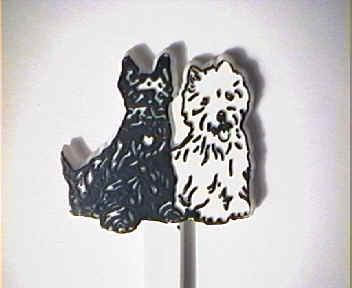 Black & White