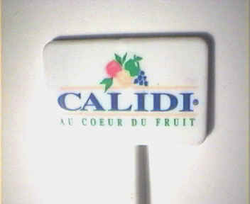 Calidi