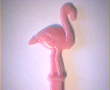 Pink Flamingo