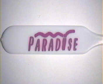Paradise Hotels