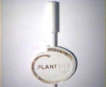 Planteur