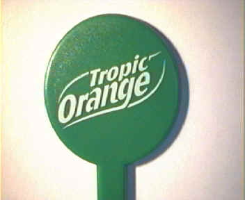 Trpic Orange