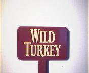 Wild Turkey