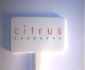 Citrus