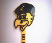 Go Hawkeyes