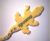 Caf Iguana
