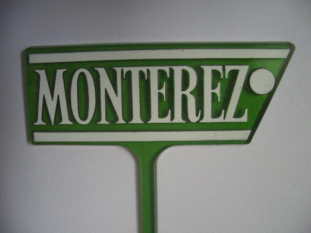 Monterez