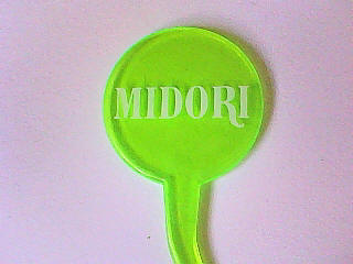 Midori