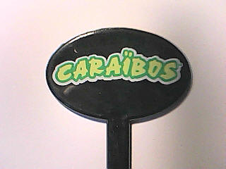 Carabos