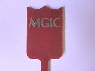 MGIC