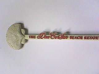 The Don Cesar Beach Resort